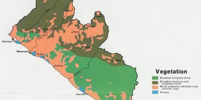 नक्शे की वनस्पति का नक्शा लाइबेरिया